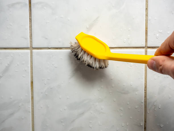 Best Certified Mold Removal  in Newaygo, MI